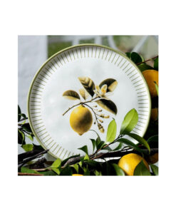 Prato Raso Bio Lemon Porto Brasil