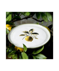 Prato Raso Bio Lemon Porto Brasil