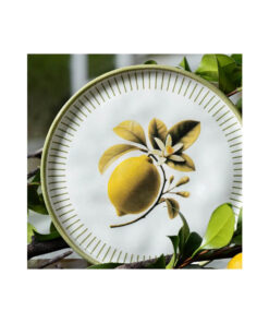 Prato Sobremesa Bio Lemon Porto Brasil