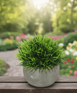jarro, Cachepô, Arranjo Vaso de Cerâmica com Grama Permanente